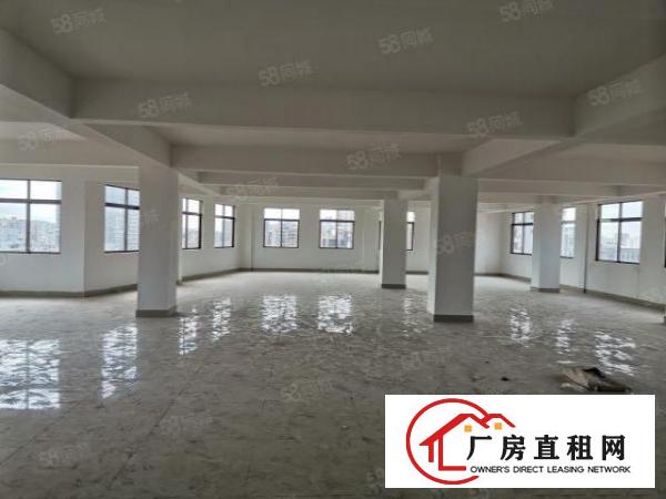  北栅碧桂园原房东实际面积全新厂房