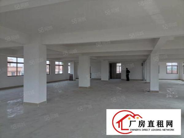  北栅碧桂园原房东实际面积全新厂房
