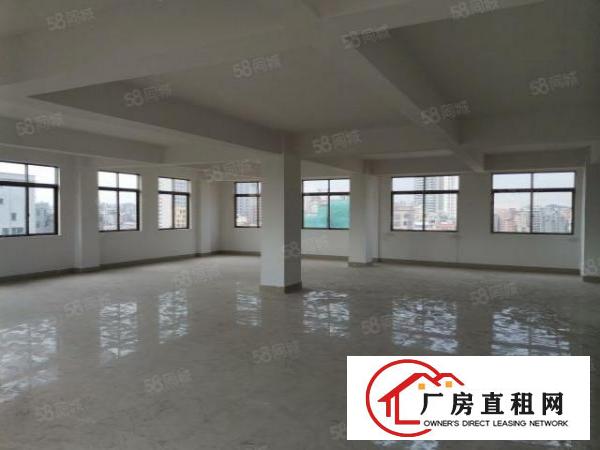 北栅碧桂园原房东实际面积全新厂房