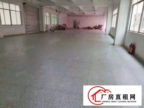  虎门新出独院厂房13层3300平方配套宿舍，现成装修办公室