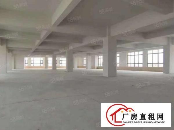  龙眼独院厂房出租，服装制衣类客户优先，不接受物业承包
