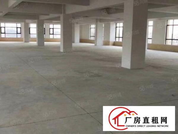  龙眼独院厂房出租，服装制衣类客户优先，不接受物业承包