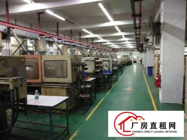  龙眼独院厂房出租，服装制衣类客户优先，不接受物业承包