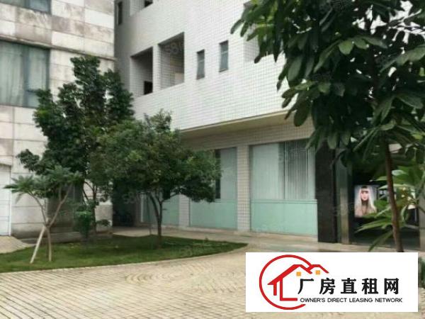  笋！大宁原房东1楼1500平方豪华装修5.5米高厂房出租啦！