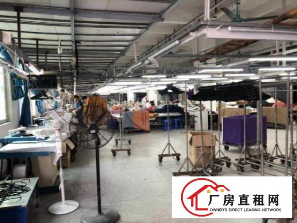  笋！大宁原房东1楼1500平方豪华装修5.5米高厂房出租啦！