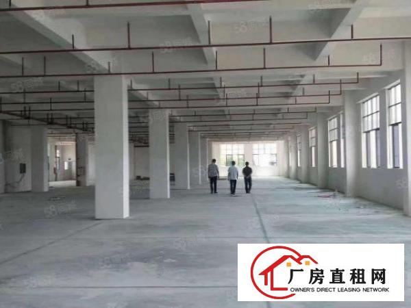  虎门独院厂房出租，工业区厂房，不接受物业承包