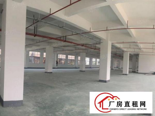  虎门独院厂房出租，工业区厂房，不接受物业承包