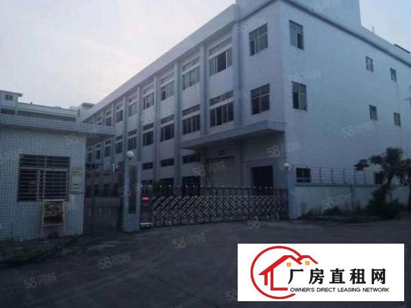 虎门独院厂房出租，工业区厂房，不接受物业承包