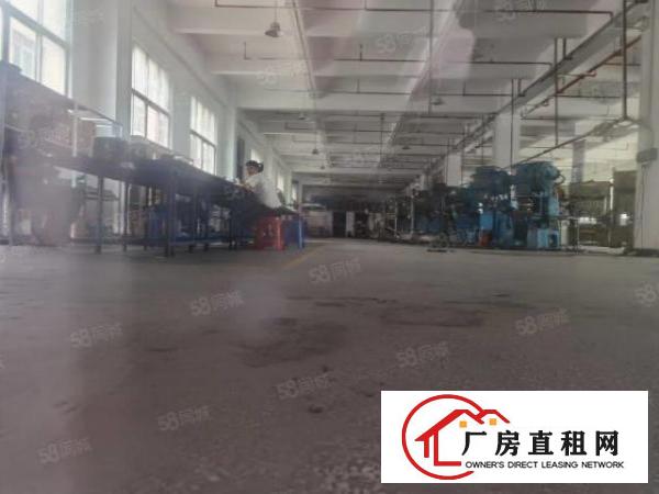  虎门白沙独门独院一楼新出2000平厂房出租高6米形象好