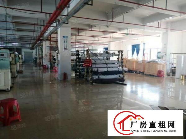  虎门镇口新出原房东厂房1000平精装可分租面积实在