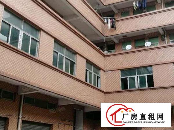  虎门北栅4500平方米独门独院花园式的厂房出租