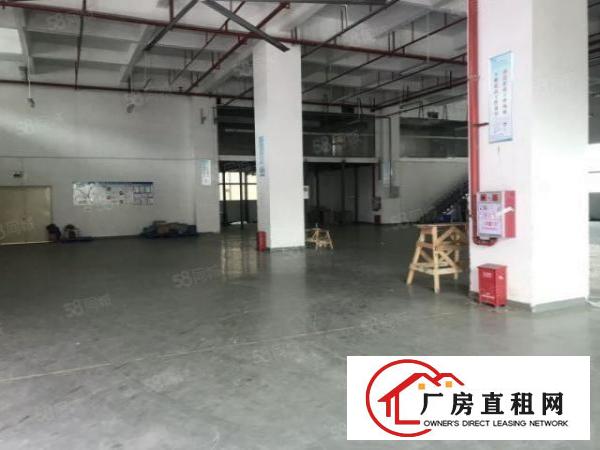  虎门南栅五区新空出1楼1600平现成办公室水电和阁楼！