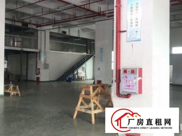  虎门南栅五区新空出1楼1600平现成办公室水电和阁楼！