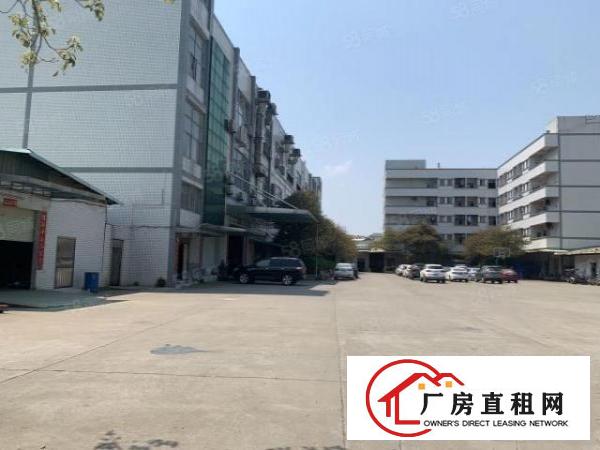  虎门怀德原房东一楼4100平无公摊实际面积带装修厂房出租可分