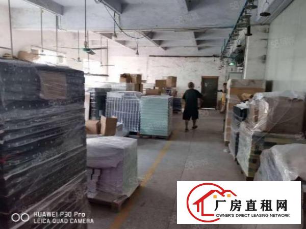 现成喷油环评！虎门树田共2250平米厂房招租可分租