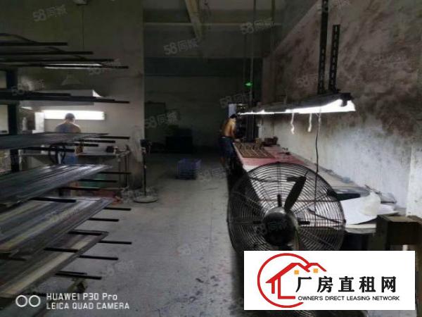 现成喷油环评！虎门树田共2250平米厂房招租可分租