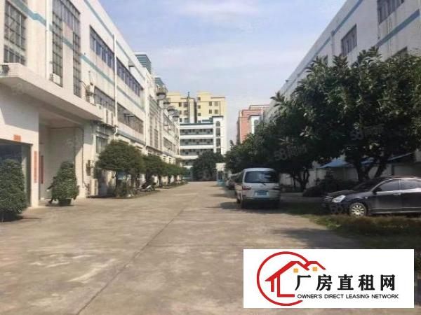  虎门全新厂房独院2000平起分租，内外翻新形象好带红本