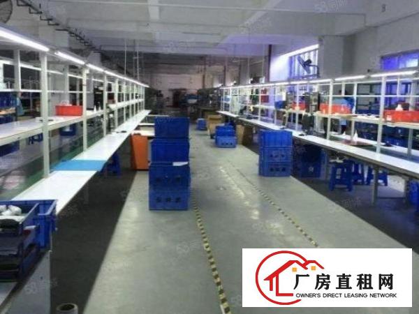  虎门全新厂房独院2000平起分租，内外翻新形象好带红本