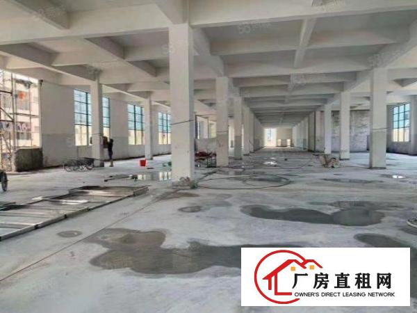  虎门镇南栅原房东全新重工业厂房每层3900平方形象好可办环评