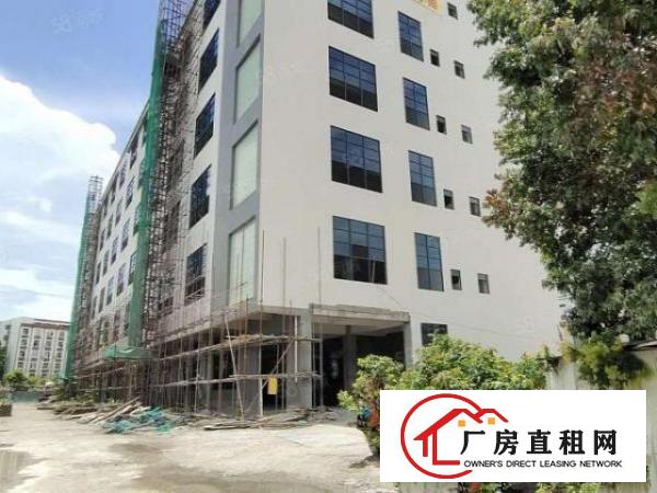  虎门镇南栅原房东全新重工业厂房每层3900平方形象好可办环评
