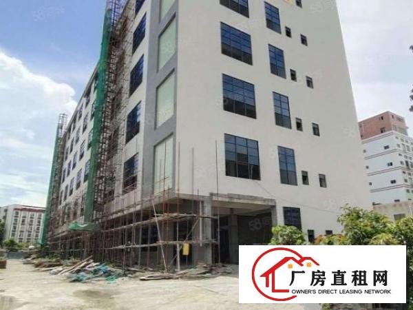  虎门镇南栅原房东全新重工业厂房每层3900平方形象好可办环评