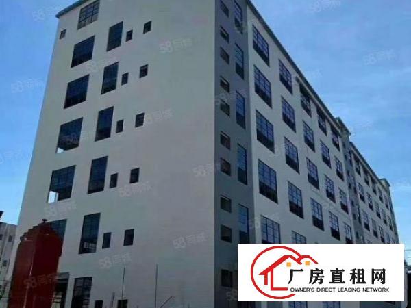  虎门镇南栅原房东全新重工业厂房每层3900平方形象好可办环评