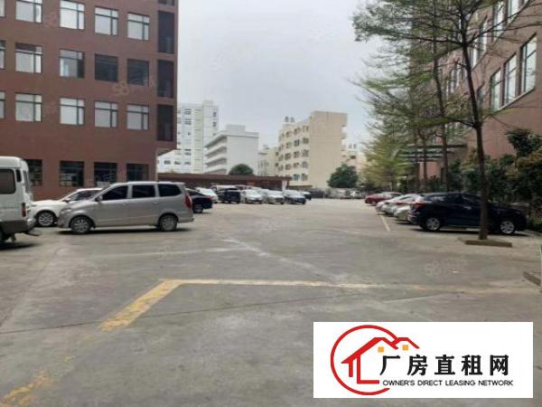  南栅社区产业园招租，原房东招租，600平方起租