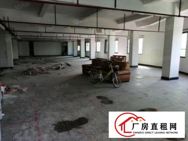  现成环评！免租2个月！虎门新联一楼厂房500平米低价急租
