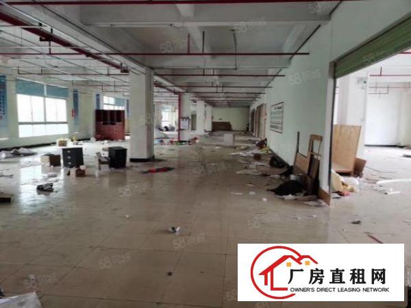  现成环评！免租2个月！虎门新联一楼厂房500平米低价急租