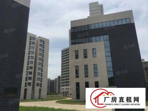  南栅全新产业区招租，形象实用，800平方起即可承租