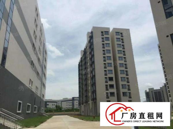  南栅全新产业区招租，形象实用，800平方起即可承租