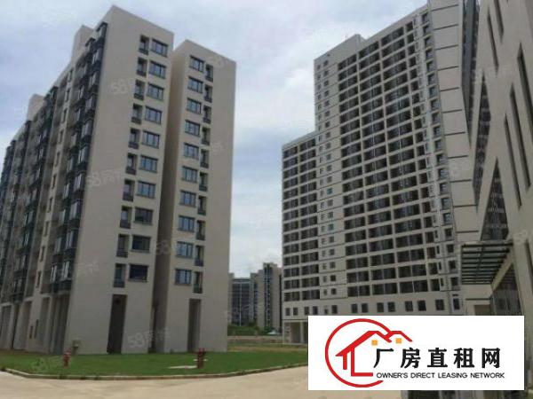  南栅全新产业区招租，形象实用，800平方起即可承租
