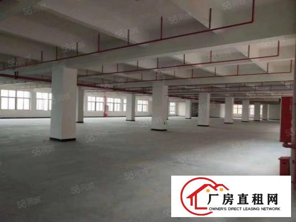  大宁全新厂房招租，房东免租期长，条件可谈，600平起租