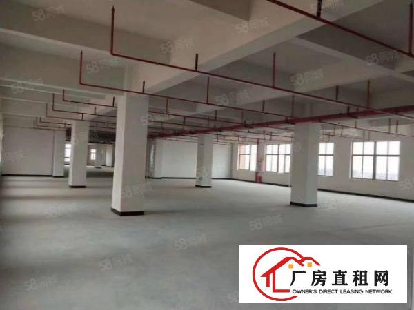  大宁全新厂房招租，房东免租期长，条件可谈，600平起租