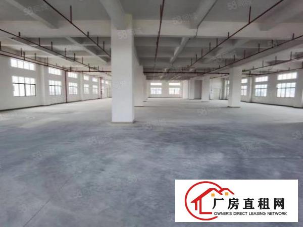  大宁全新厂房招租，房东免租期长，条件可谈，600平起租