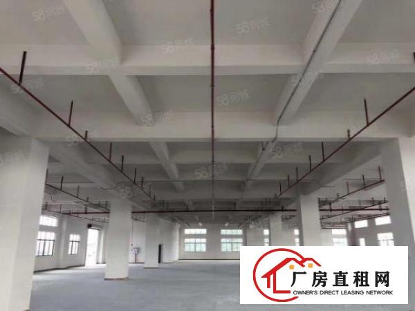  （出租）笋！虎门沿江高速旁全新重工产业园招租啦！可任意分租