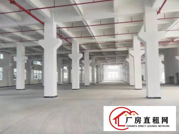  怀德房东全新厂房招租，面积大小可以分组