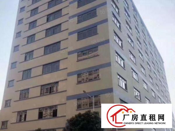  大宁原房东全新工业大厦招租，800平方以上起租