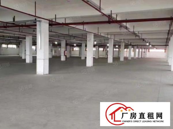  大宁原房东全新工业大厦招租，800平方以上起租