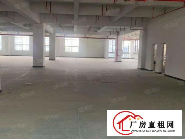  全新虎门原房东新建厂房招租，实际面积出租，按需出租
