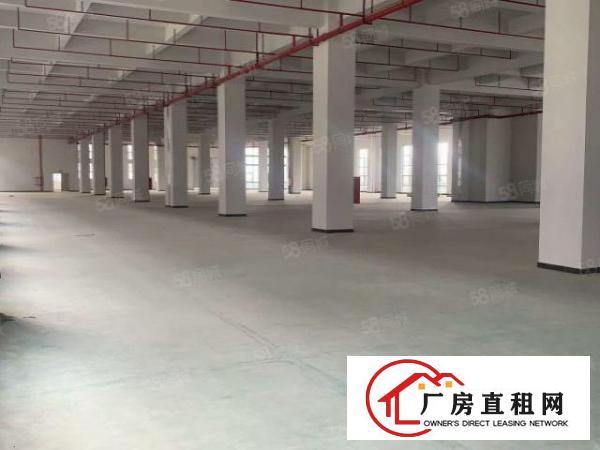  全新虎门原房东新建厂房招租，实际面积出租，按需出租