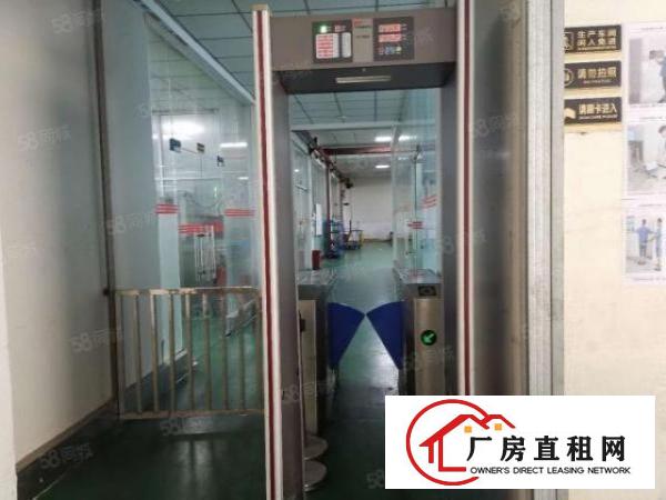  。虎门北栅原房东小独院3500平米精装修电子车间低价出租