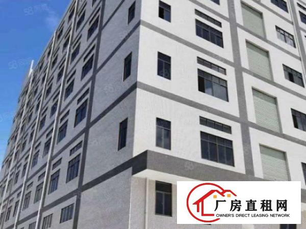  虎门本地房东，全新工业大厦正式招租