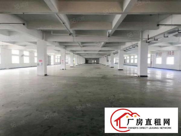  虎门本地房东，全新工业大厦正式招租