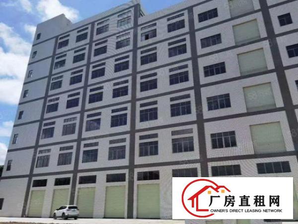  虎门本地房东，全新工业大厦正式招租