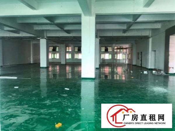  龙眼楼上新出1500平方厂房招租，厂房形象，全新地坪漆！