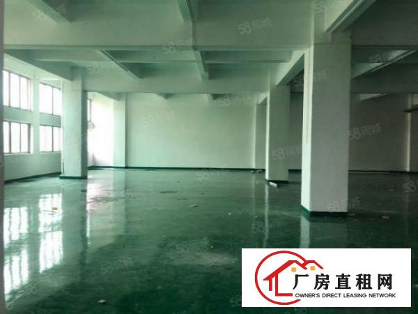 龙眼楼上新出1500平方厂房招租，厂房形象，全新地坪漆！