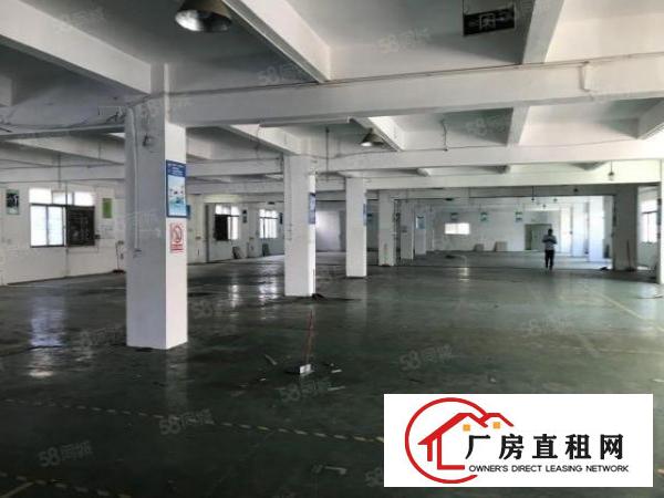  虎门龙眼（独院）3300平方小独院，位置优越可办环评，可分租