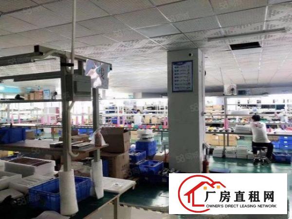  虎门龙眼（独院）3300平方小独院，位置优越可办环评，可分租