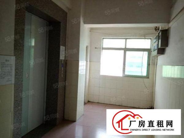  虎门三楼新出385平方小面积精装修厂房出租